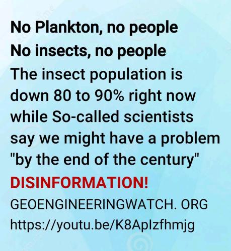 Screenshot_2022-08-09-10-39-48-825_cn.wps.moffice_eng~2