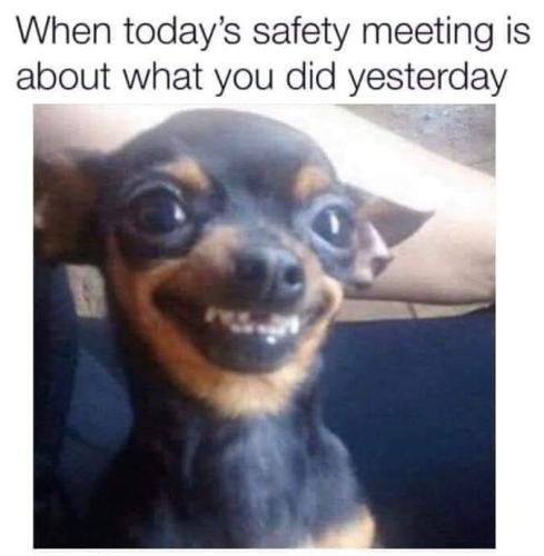 FB_IMG_1661973059621