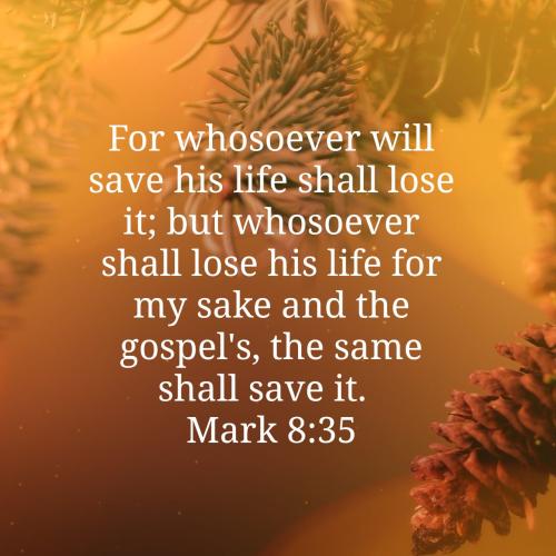 08:04:37 GMT-0400 (EDT)