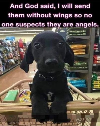 11:15:03 GMT-0400 (EDT)