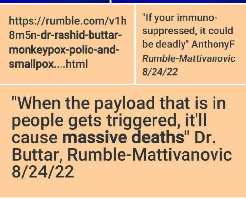 Screenshot_2022-08-30-13-38-21-838_com.google.android.apps.photos