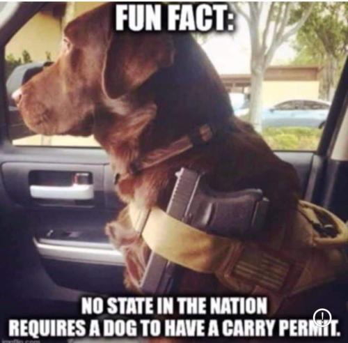 FB_IMG_1661925015757