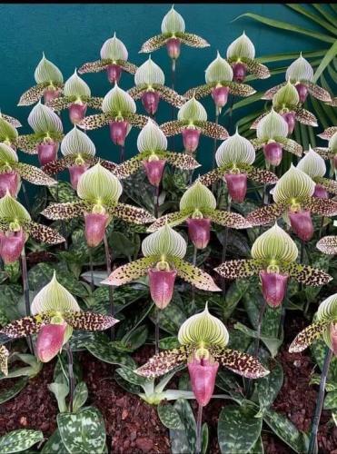 297313443_444855587541923_3846194019627132205_n