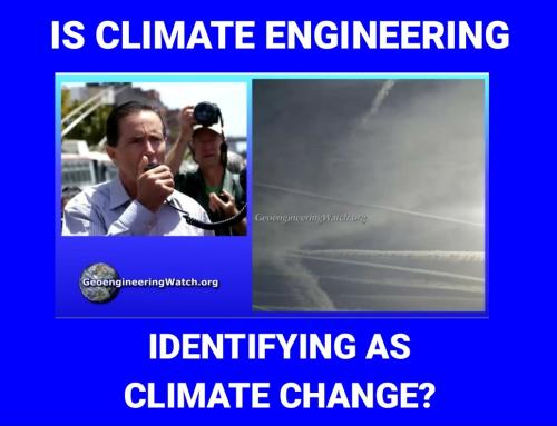 Screenshot_2022-08-12-07-10-18-657_cn.wps.moffice_eng~2