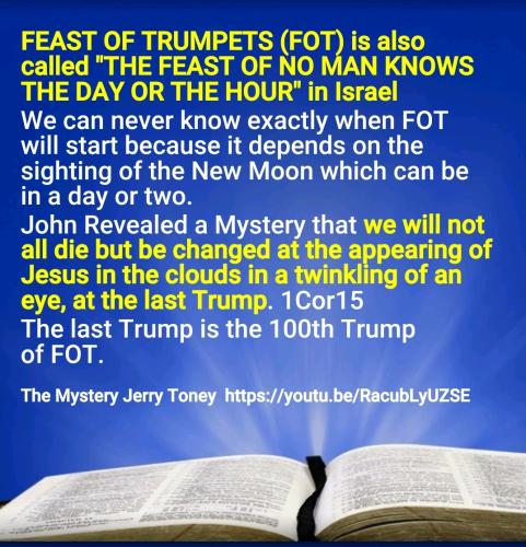 Screenshot_2022-08-01-11-55-33-657_cn.wps.moffice_eng~2