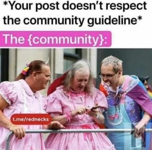 295831875_565294975302822_8032458327146510531_n