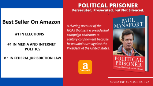 Best Seller On Amazon #1 in Elections #1 in Media and Internet Politics #Federal Jurisdiction Law-2