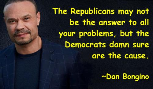 bongino- democrats are the cause