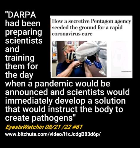 Screenshot_2022-08-22-18-50-02-677_cn.wps.moffice_eng~2