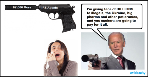 irs_87000_gun