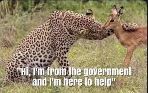 296349598_594643352056199_8674781366957759841_n