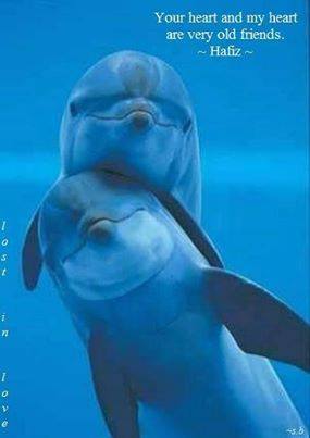 ,                                                                                                                                                                                                                          0 b