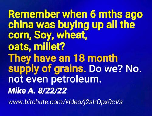 Screenshot_2022-08-23-12-14-23-838_cn.wps.moffice_eng~2