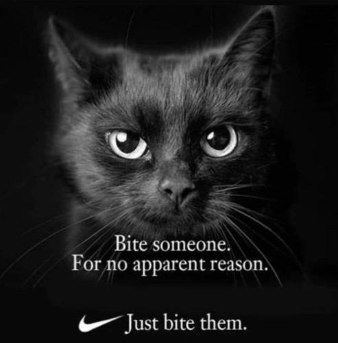 FB_IMG_1661108189688