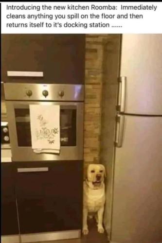 294678418_3219785058335530_7504008811065061469_n