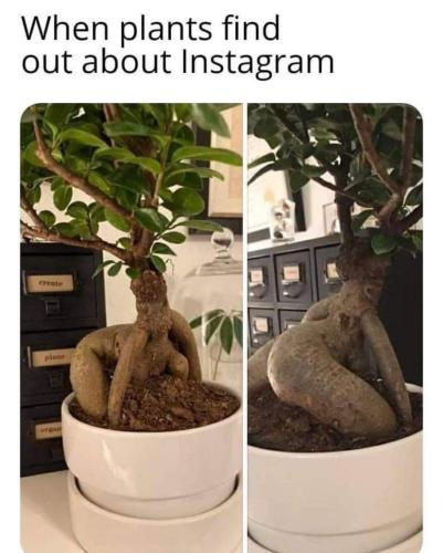 FB_IMG_1661363141862