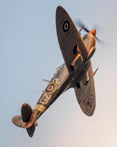 299158502_134940175908290_1522268679450586239_n