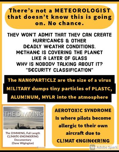 Screenshot_2022-08-09-10-43-23-557_com.google.android.apps.photos~2