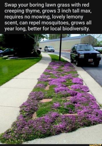 300765243_1127315377883919_8349685072164399704_n