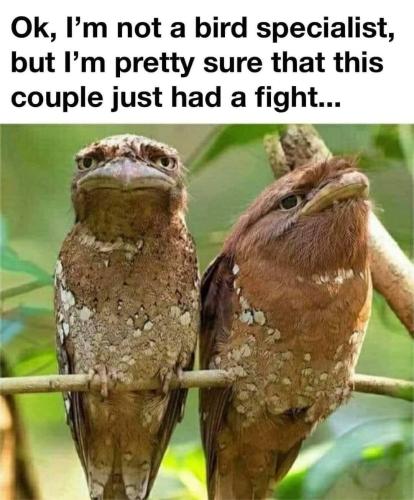 FB_IMG_1661881981053