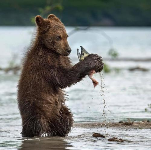 tumblr_pug398o9Bw1skbhujo1_1280