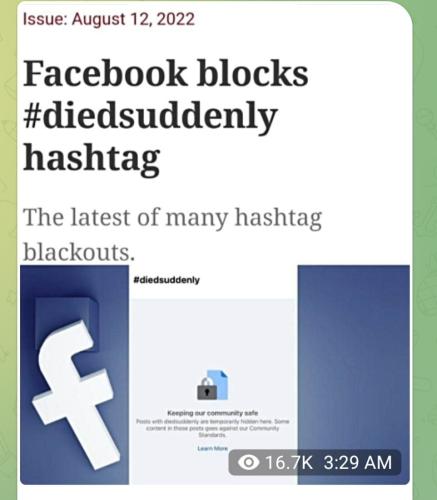 Screenshot_2022-08-19-13-48-14-071_org.telegram.messenger.web~2