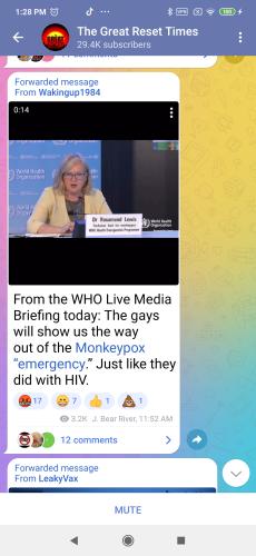 Screenshot_2022-08-04-13-28-50-268_org.telegram.messenger