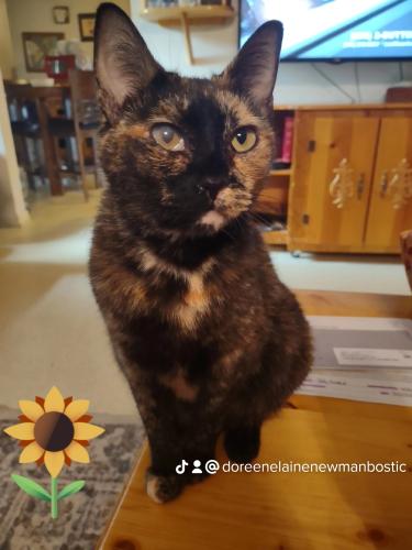 c1256eb35211f71a7bb21aa0090b5d0c_4