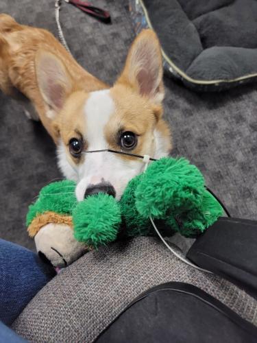 Resized_20220728_124903