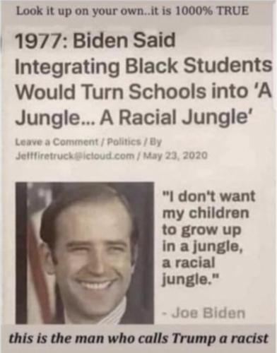A Racial Jungle