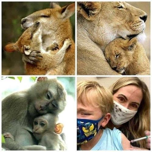 photo_2022-08-19_19-04-56