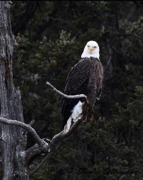 Screenshot_20220731-135428