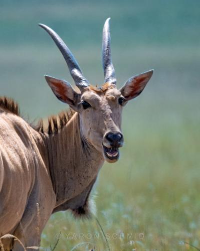 304123926_599810751593847_8543618514897046319_n