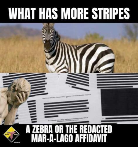 FB_IMG_1661878399905