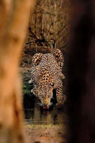 tumblr_2a4bdbbf58e7226a1f2c359766cc6b6b_78102266_540