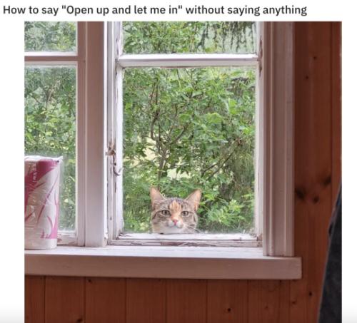 tumblr_aa7590c0ace7c99c0d31e0a720513be3_8a7c13f8_540