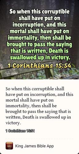 FB_IMG_1661317961675