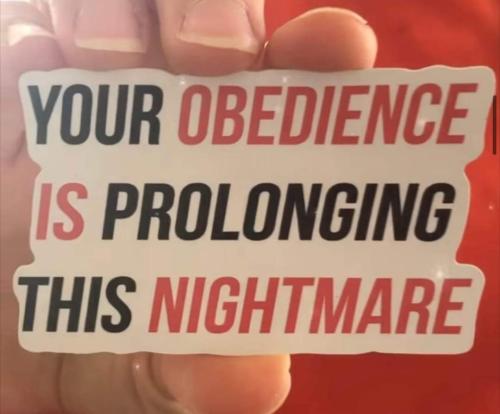 FB_IMG_1660495955268