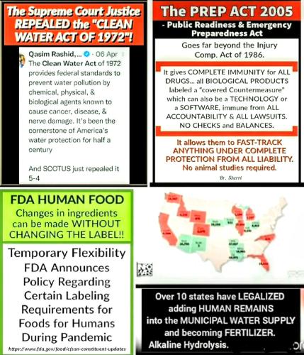 Screenshot_2022-08-04-20-06-24-372_com.google.android.apps.photos~2