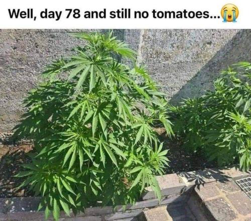 FB_IMG_1659506635327