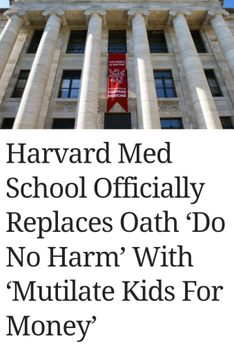 Screenshot_20220815-200212~2