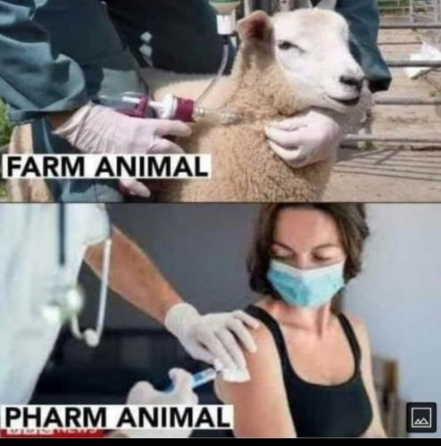 Screenshot_2022-08-13-08-16-34-632_com.facebook.mlite~2