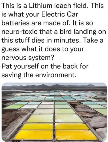 FB_IMG_1660059077466