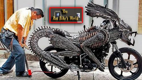 297729090_3255026361438996_6919896931517447981_n