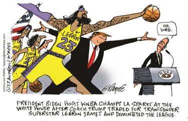 payn_c19196520220727120100-375x275