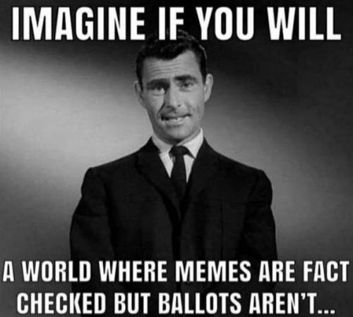 voterfraud343