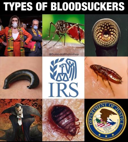 Screenshot_20220808-145846_Instagram