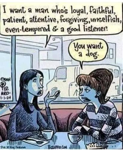 296070530_360415792945120_8819276646300016764_n