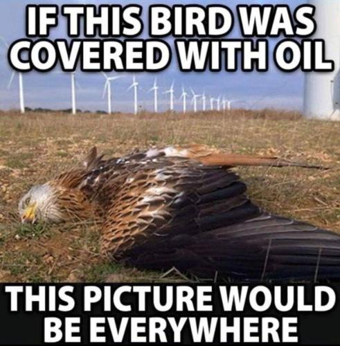 FB_IMG_1659393244152