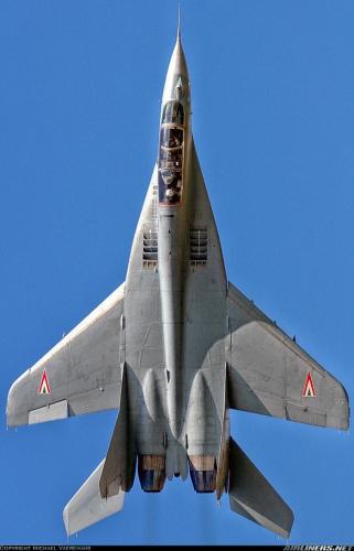 302970176_3337025149849487_3787368916020896484_n